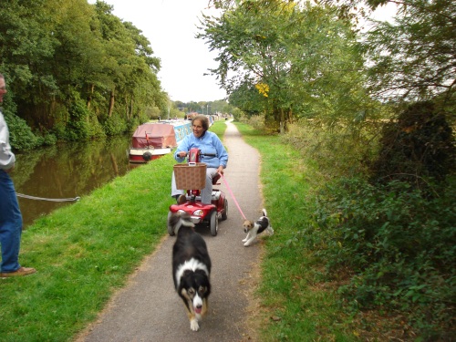 Woman taking her dogs for an evening walk along the towpath outside of Barlaston.